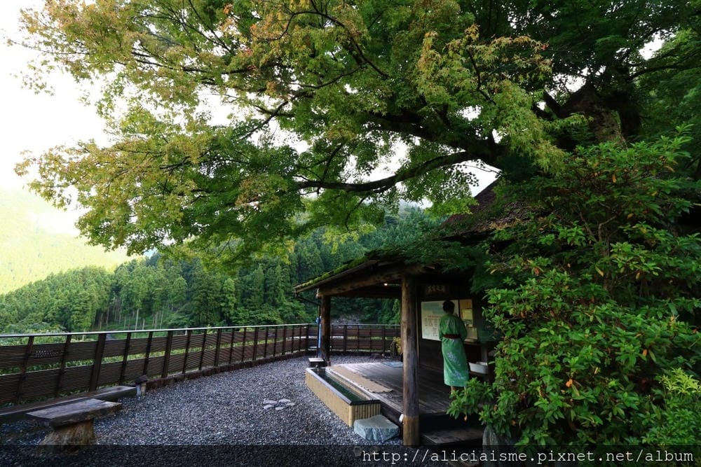 【德島縣】湯元新祖谷溫泉蔓橋飯店(ホテルかずら橋):景觀飯店,搭纜車泡天空露天溫泉、足湯、爐端燒料理的秘境湯宿