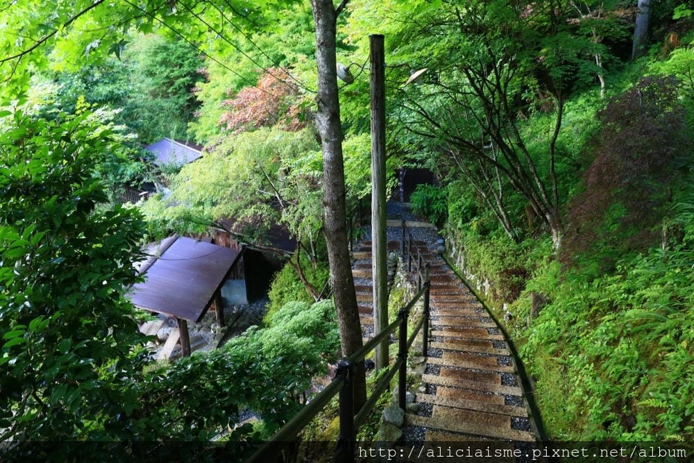 【德島縣】湯元新祖谷溫泉蔓橋飯店(ホテルかずら橋):景觀飯店,搭纜車泡天空露天溫泉、足湯、爐端燒料理的秘境湯宿