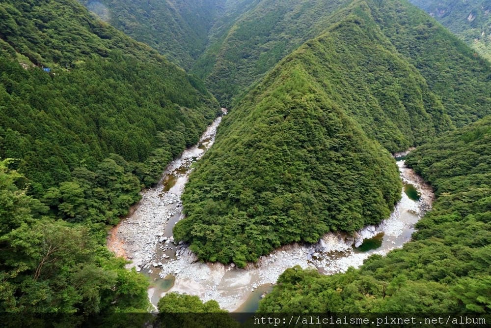 【德島縣】祖谷藤蔓橋、ひ字型谷、小便小僧:走進秘境裡,連繫世世代代先人智慧的日本奇橋