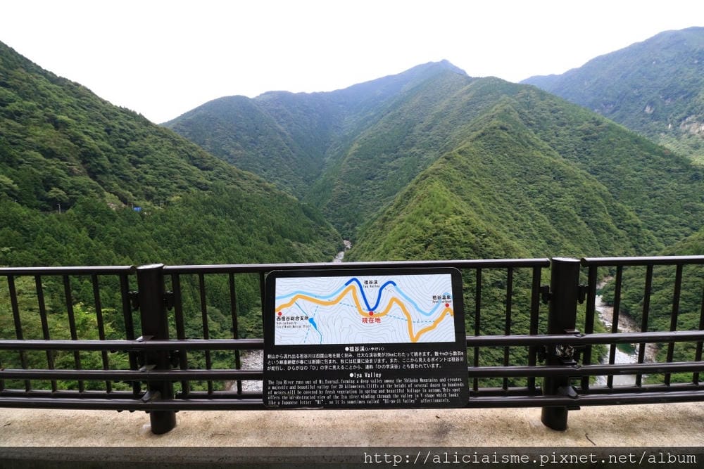 【德島縣】祖谷藤蔓橋、ひ字型谷、小便小僧:走進秘境裡,連繫世世代代先人智慧的日本奇橋
