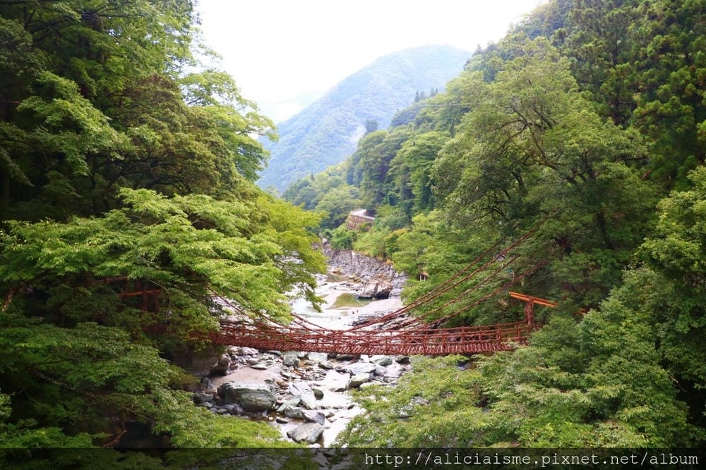 【德島縣】祖谷藤蔓橋、ひ字型谷、小便小僧:走進秘境裡,連繫世世代代先人智慧的日本奇橋