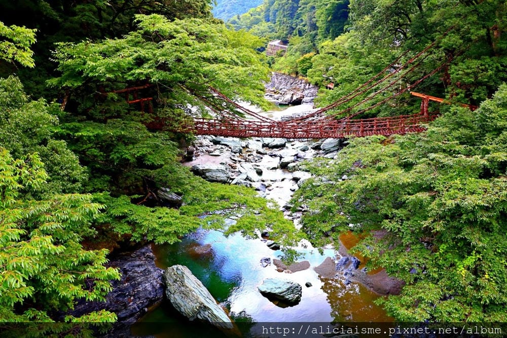 【德島縣】祖谷藤蔓橋、ひ字型谷、小便小僧:走進秘境裡,連繫世世代代先人智慧的日本奇橋