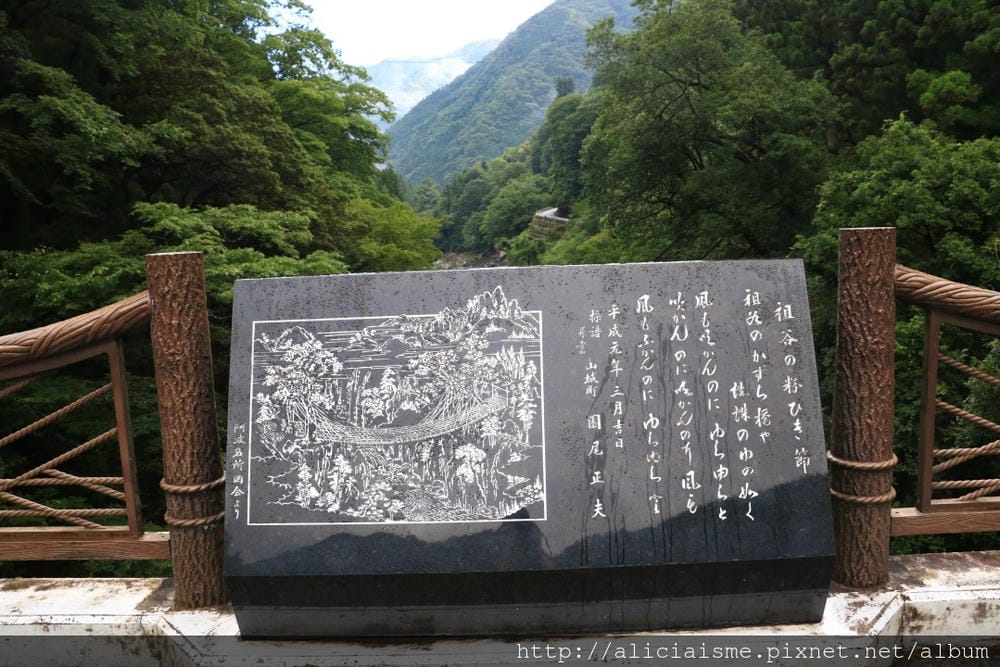【德島縣】祖谷藤蔓橋、ひ字型谷、小便小僧:走進秘境裡,連繫世世代代先人智慧的日本奇橋