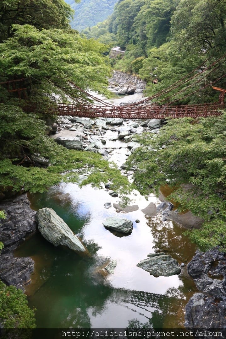 【德島縣】祖谷藤蔓橋、ひ字型谷、小便小僧:走進秘境裡,連繫世世代代先人智慧的日本奇橋
