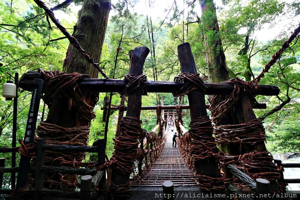 【德島縣】祖谷藤蔓橋、ひ字型谷、小便小僧:走進秘境裡,連繫世世代代先人智慧的日本奇橋