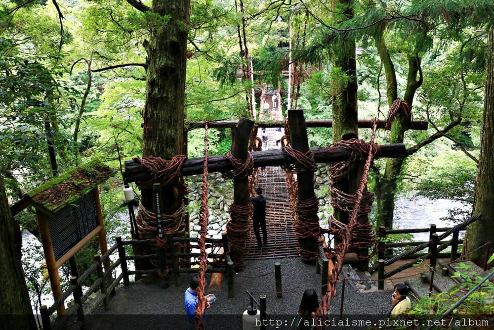 【德島縣】祖谷藤蔓橋、ひ字型谷、小便小僧:走進秘境裡,連繫世世代代先人智慧的日本奇橋