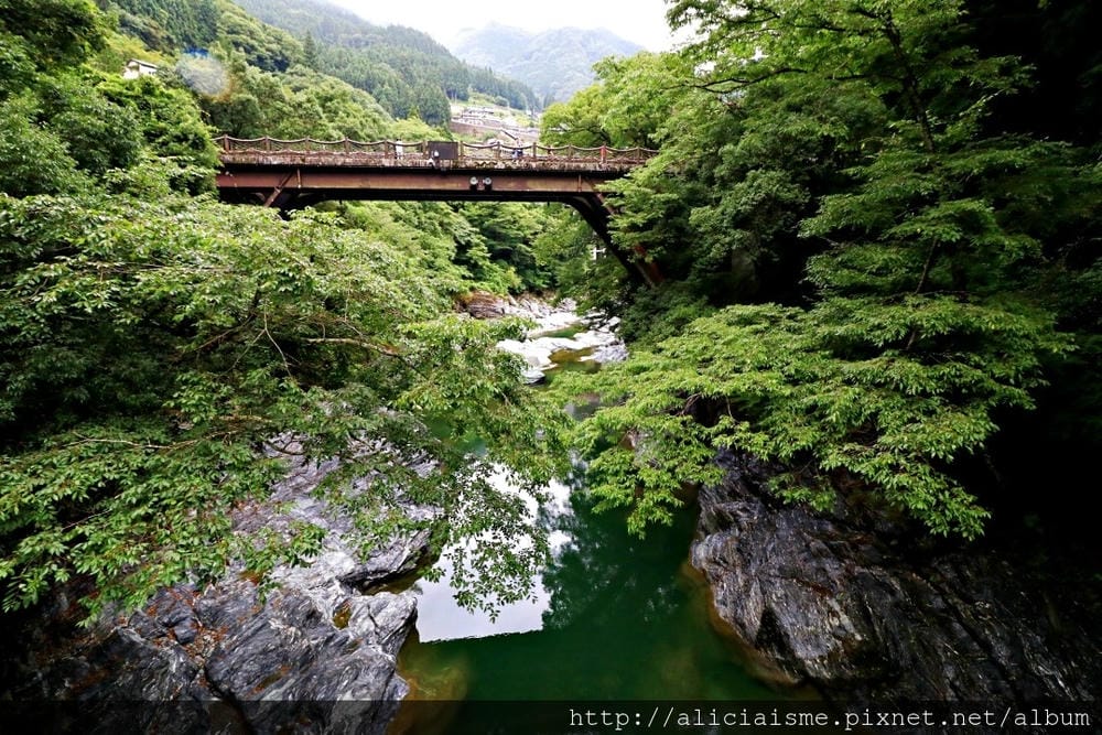 【德島縣】祖谷藤蔓橋、ひ字型谷、小便小僧:走進秘境裡,連繫世世代代先人智慧的日本奇橋