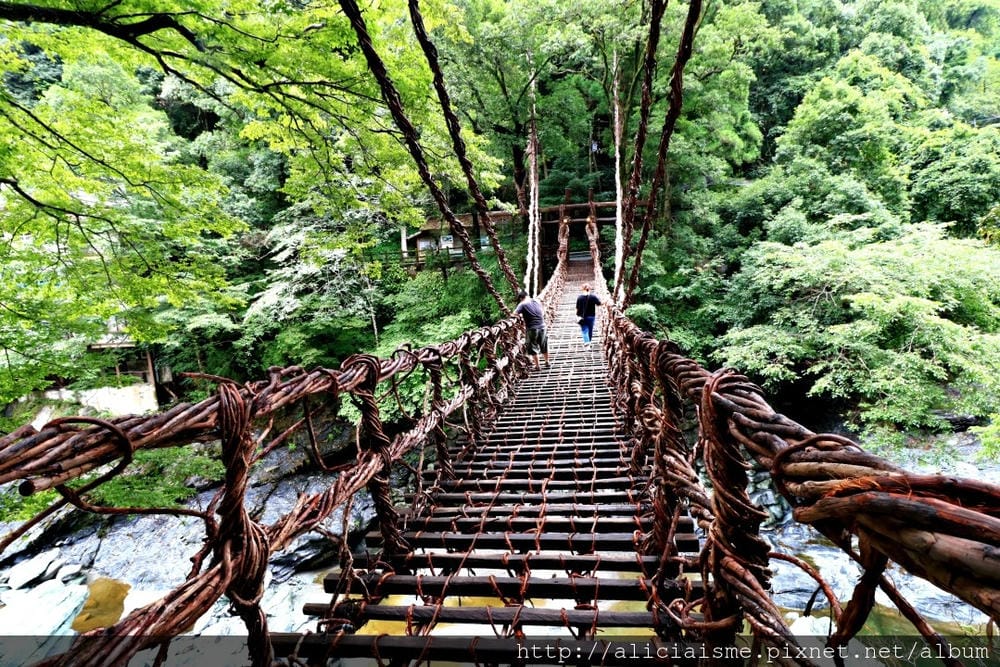 【德島縣】祖谷藤蔓橋、ひ字型谷、小便小僧:走進秘境裡,連繫世世代代先人智慧的日本奇橋