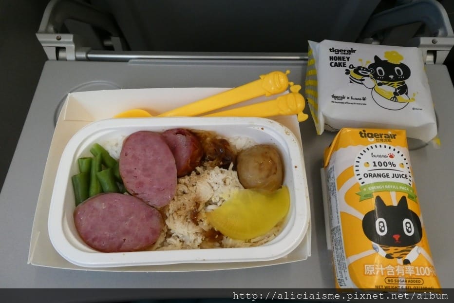 【航空資訊】台灣虎航桃園-茨城空港,北關東1000日圓租車︱東京500日圓 交通、彈性行程規劃新選擇,空港再嚐鮮在地最強乳製品
