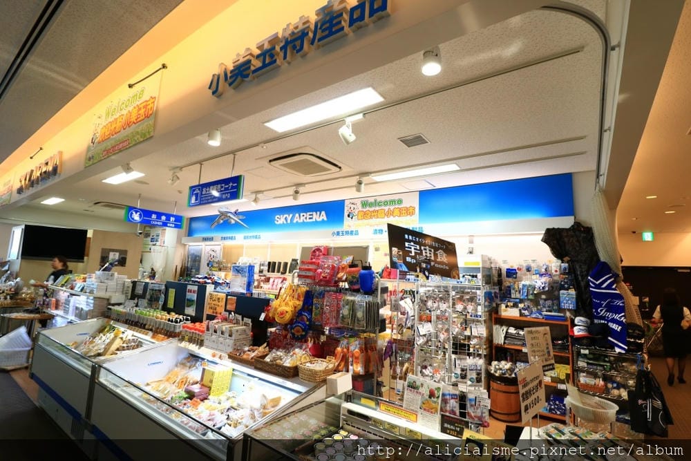【航空資訊】台灣虎航桃園-茨城空港,北關東1000日圓租車︱東京500日圓 交通、彈性行程規劃新選擇,空港再嚐鮮在地最強乳製品