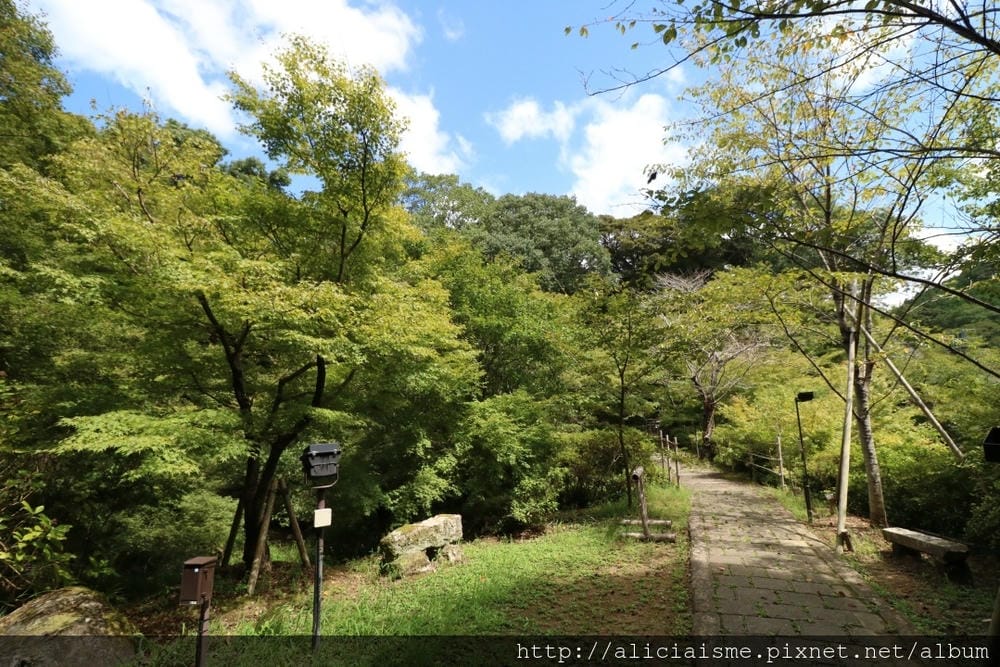 【佐賀縣】御船山樂園:四季彩繪的庭園&2018 teamLab《神明居住的森林》光雕展