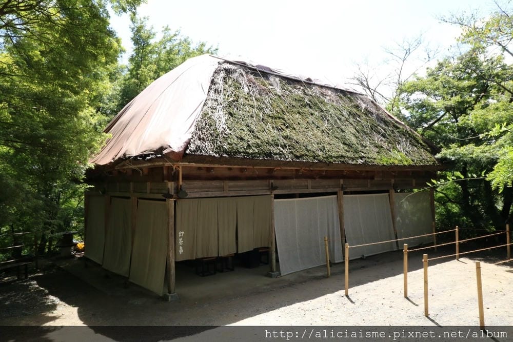 【佐賀縣】御船山樂園:四季彩繪的庭園&2018 teamLab《神明居住的森林》光雕展