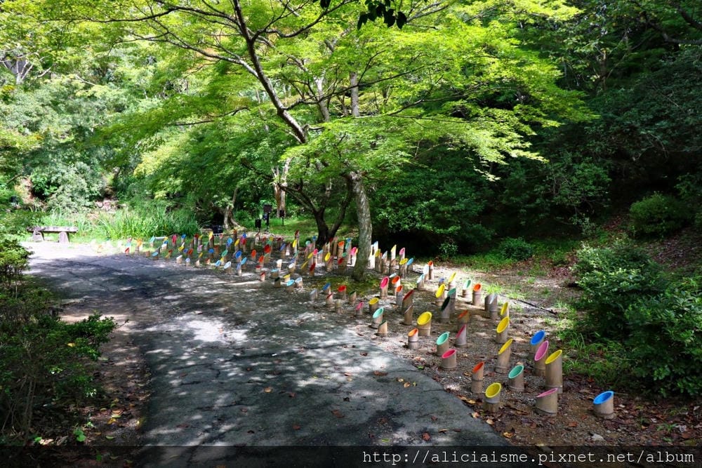 【佐賀縣】御船山樂園:四季彩繪的庭園&2018 teamLab《神明居住的森林》光雕展