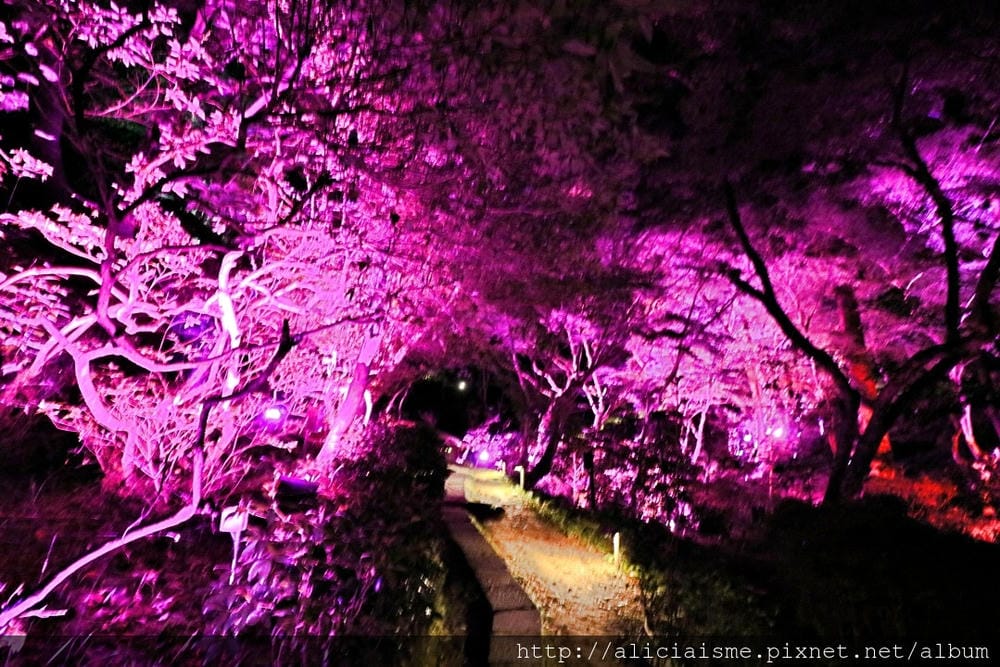 【佐賀縣】御船山樂園:四季彩繪的庭園&2018 teamLab《神明居住的森林》光雕展