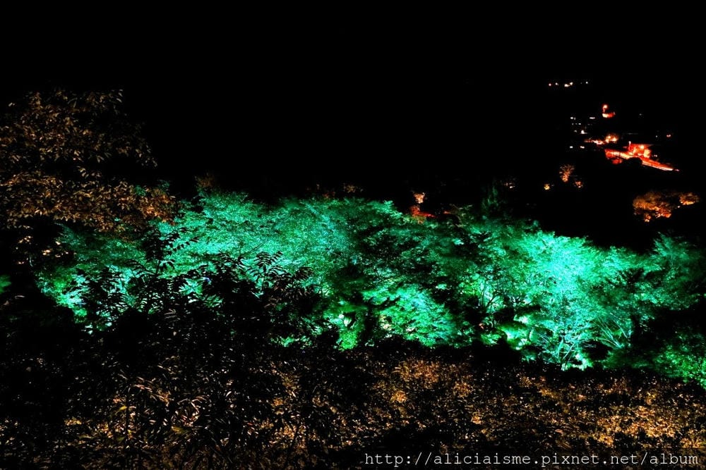 【佐賀縣】御船山樂園:四季彩繪的庭園&2018 teamLab《神明居住的森林》光雕展