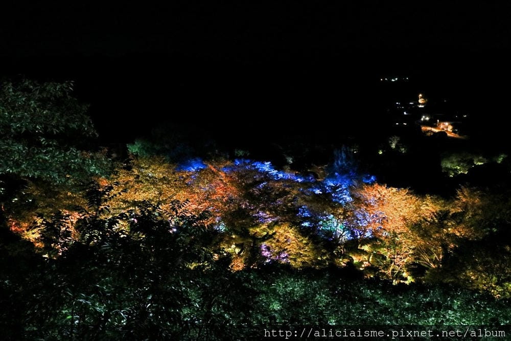 【佐賀縣】御船山樂園:四季彩繪的庭園&2018 teamLab《神明居住的森林》光雕展