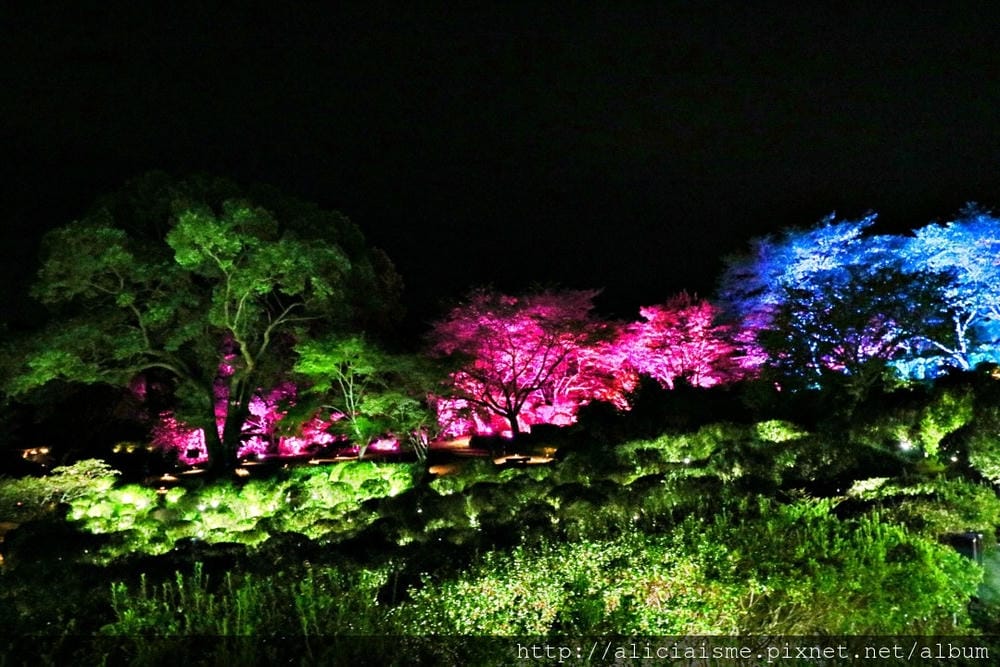 【佐賀縣】御船山樂園:四季彩繪的庭園&2018 teamLab《神明居住的森林》光雕展