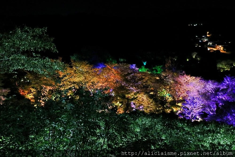 【佐賀縣】御船山樂園:四季彩繪的庭園&2018 teamLab《神明居住的森林》光雕展
