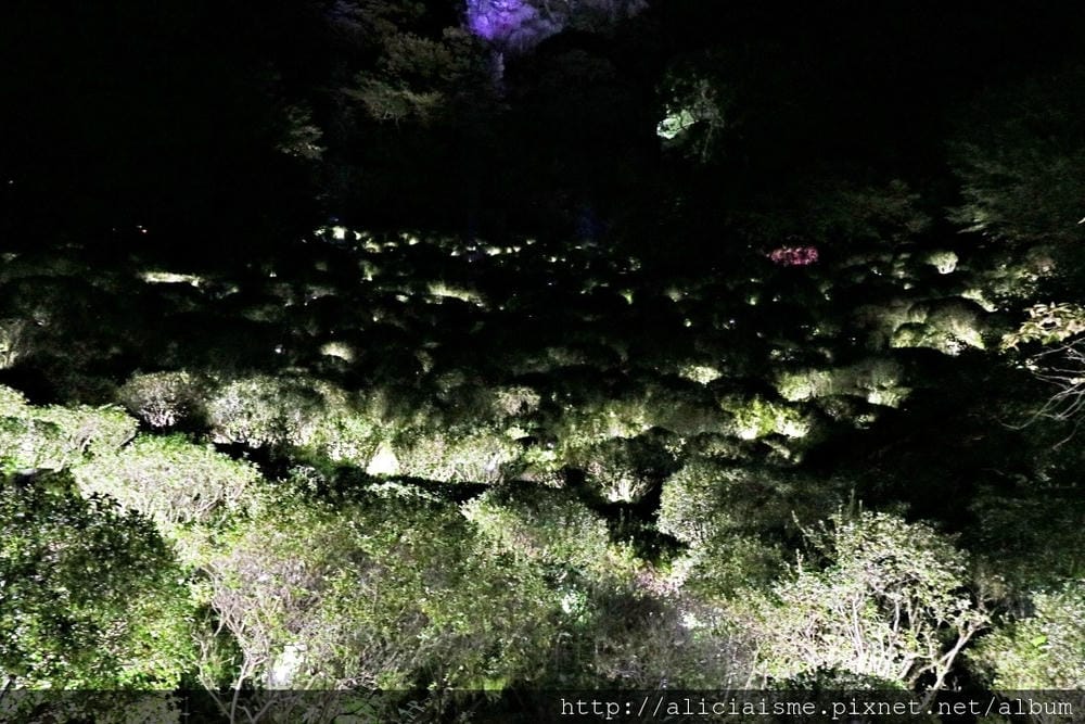 【佐賀縣】御船山樂園:四季彩繪的庭園&2018 teamLab《神明居住的森林》光雕展