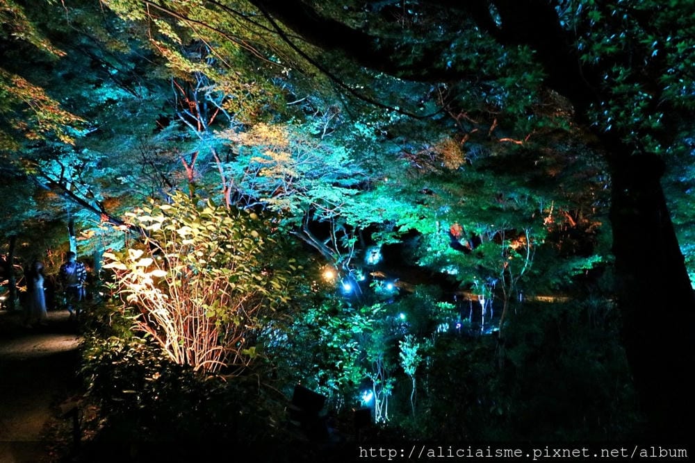 【佐賀縣】御船山樂園:四季彩繪的庭園&2018 teamLab《神明居住的森林》光雕展