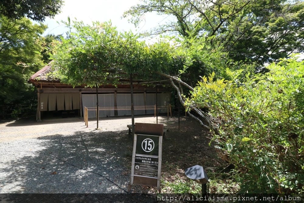 【佐賀縣】御船山樂園:四季彩繪的庭園&2018 teamLab《神明居住的森林》光雕展