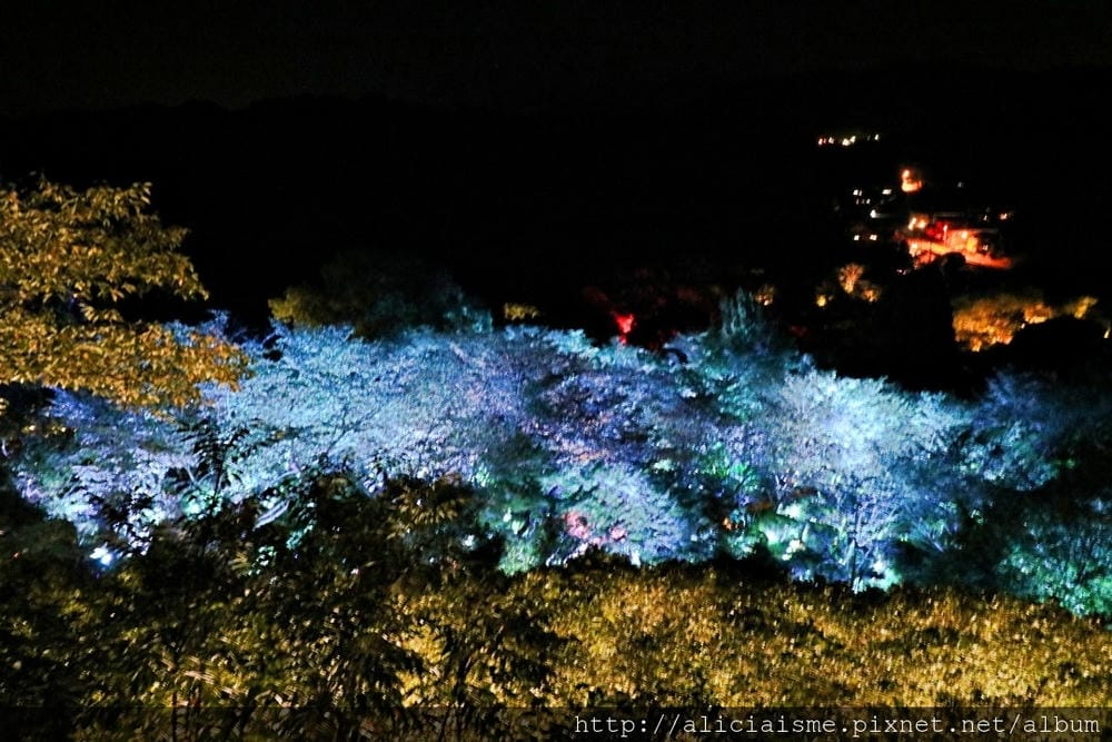 【佐賀縣】御船山樂園:四季彩繪的庭園&2018 teamLab《神明居住的森林》光雕展