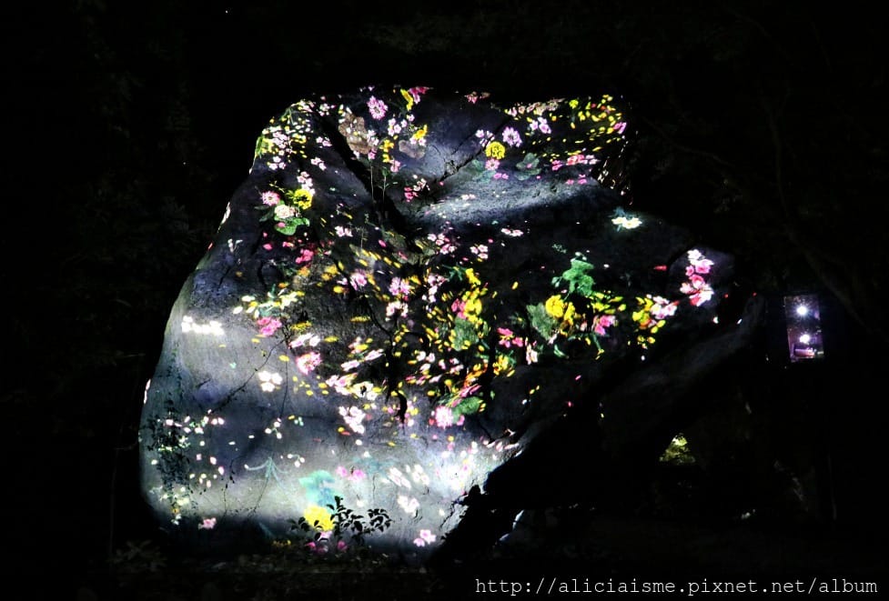 【佐賀縣】御船山樂園:四季彩繪的庭園&2018 teamLab《神明居住的森林》光雕展