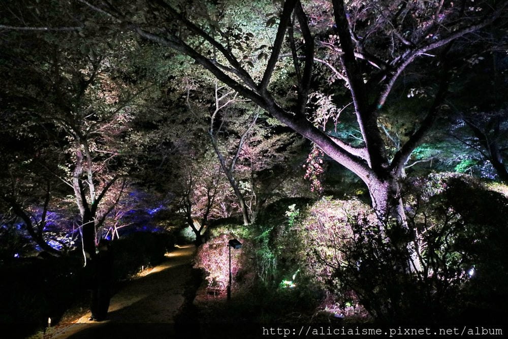 【佐賀縣】御船山樂園:四季彩繪的庭園&2018 teamLab《神明居住的森林》光雕展