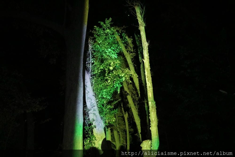 【佐賀縣】御船山樂園:四季彩繪的庭園&2018 teamLab《神明居住的森林》光雕展