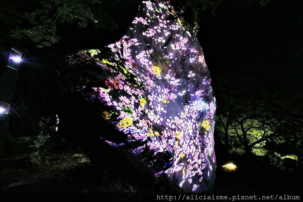 【佐賀縣】御船山樂園:四季彩繪的庭園&2018 teamLab《神明居住的森林》光雕展