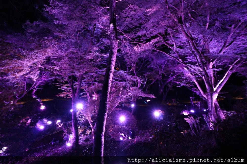 【佐賀縣】御船山樂園:四季彩繪的庭園&2018 teamLab《神明居住的森林》光雕展