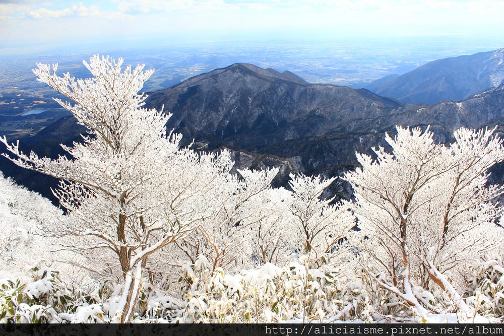 IMG_5133.JPG IMG_5133.JPG