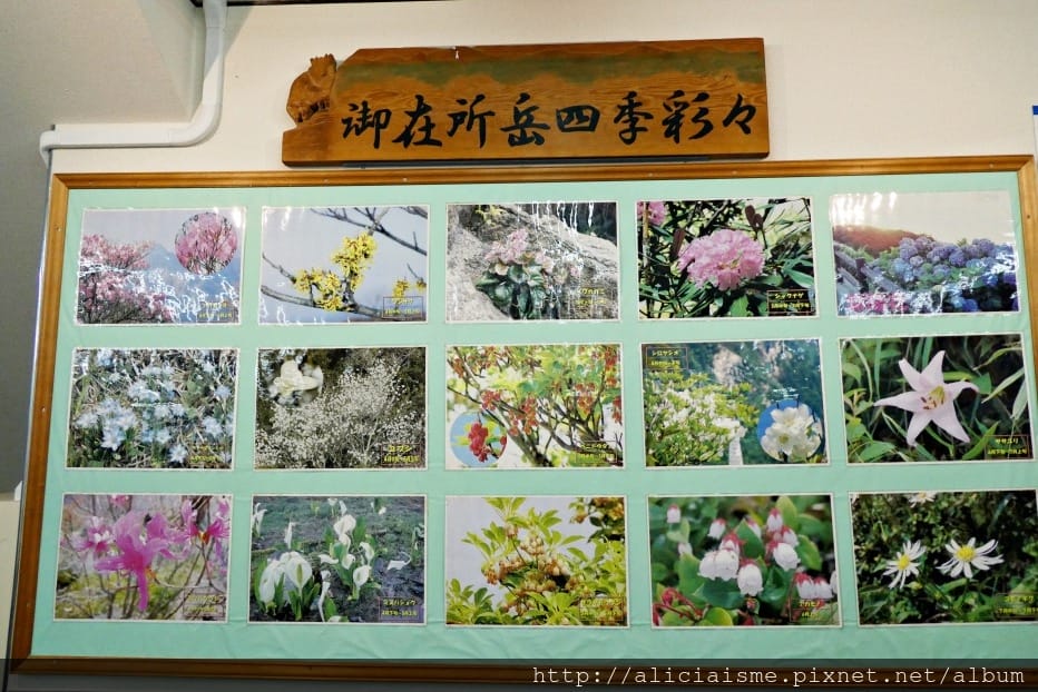 【三重縣】御在所岳/御在所纜車~秋紅葉、冬日潔白寂靜的樹冰與冰瀑絕美地