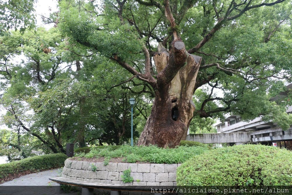 【佐賀市】佐賀城本丸歷史館:建築、歷史、有趣的美女機器人教你打開佐賀七賢人密話