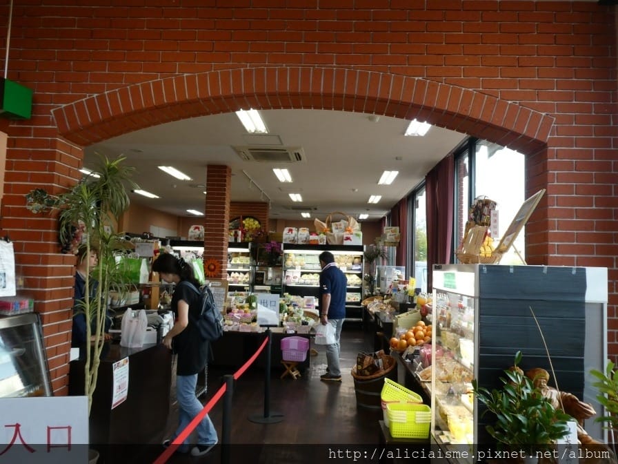 【佐賀縣】佐賀市區5家美食餐廳、咖啡館、甜點店總整理:いっせい烏龍麵/ 03 Coffee/USEUM 佐賀西西里飯/BuBuporco豚料理/新SUN極上水果塔