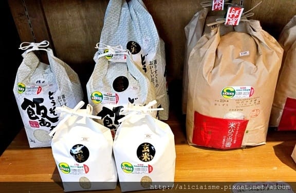【佐賀縣】佐賀市區5家美食餐廳、咖啡館、甜點店總整理:いっせい烏龍麵/ 03 Coffee/USEUM 佐賀西西里飯/BuBuporco豚料理/新SUN極上水果塔