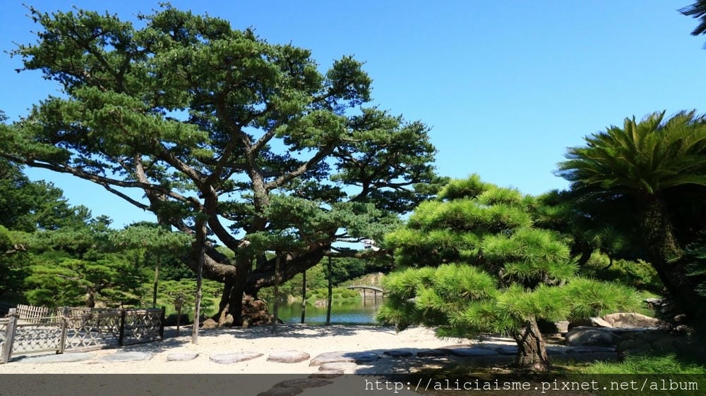 【香川縣】栗林公園：米其林三星景點、四季都值得專程前來的日式庭園