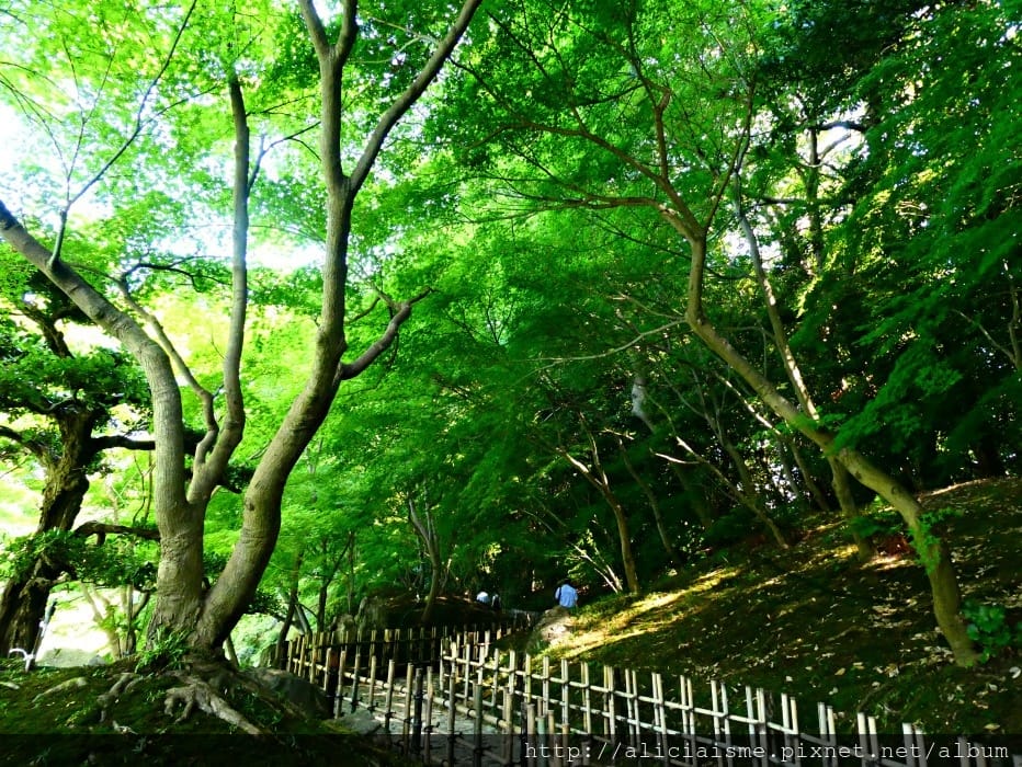 【香川縣】栗林公園：米其林三星景點、四季都值得專程前來的日式庭園