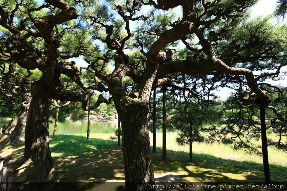 【香川縣】栗林公園：米其林三星景點、四季都值得專程前來的日式庭園