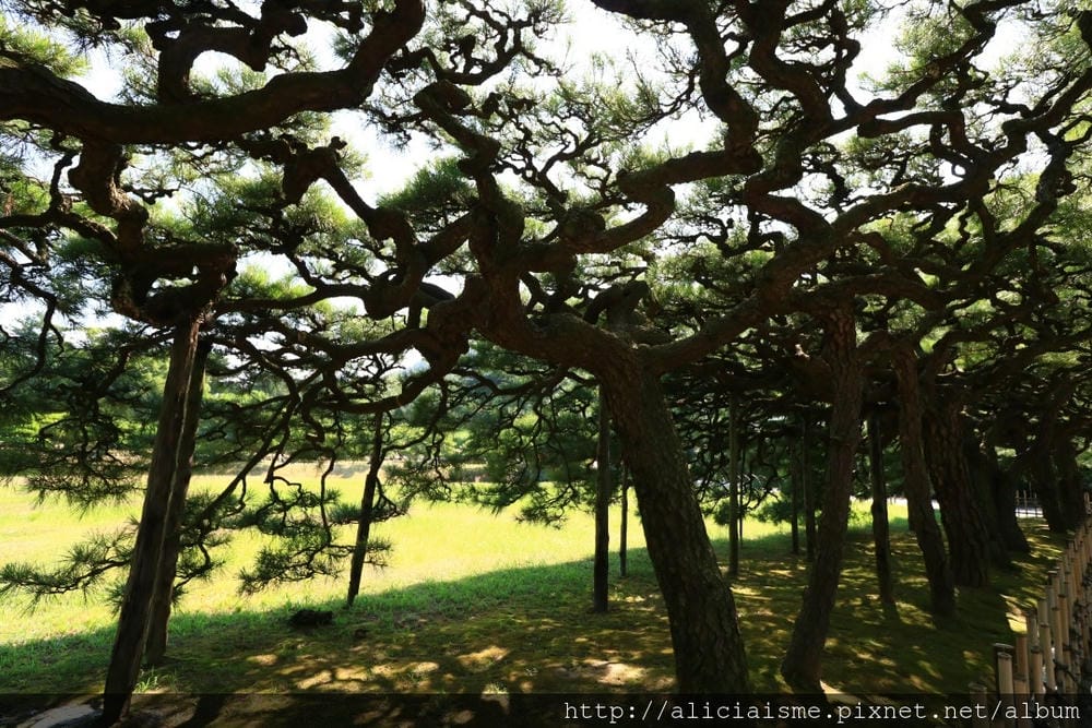 【香川縣】栗林公園：米其林三星景點、四季都值得專程前來的日式庭園