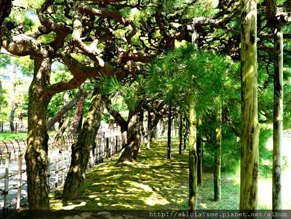 【香川縣】栗林公園：米其林三星景點、四季都值得專程前來的日式庭園