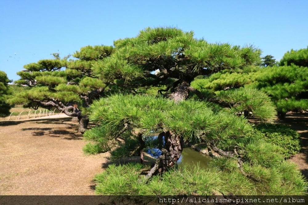 【香川縣】栗林公園：米其林三星景點、四季都值得專程前來的日式庭園
