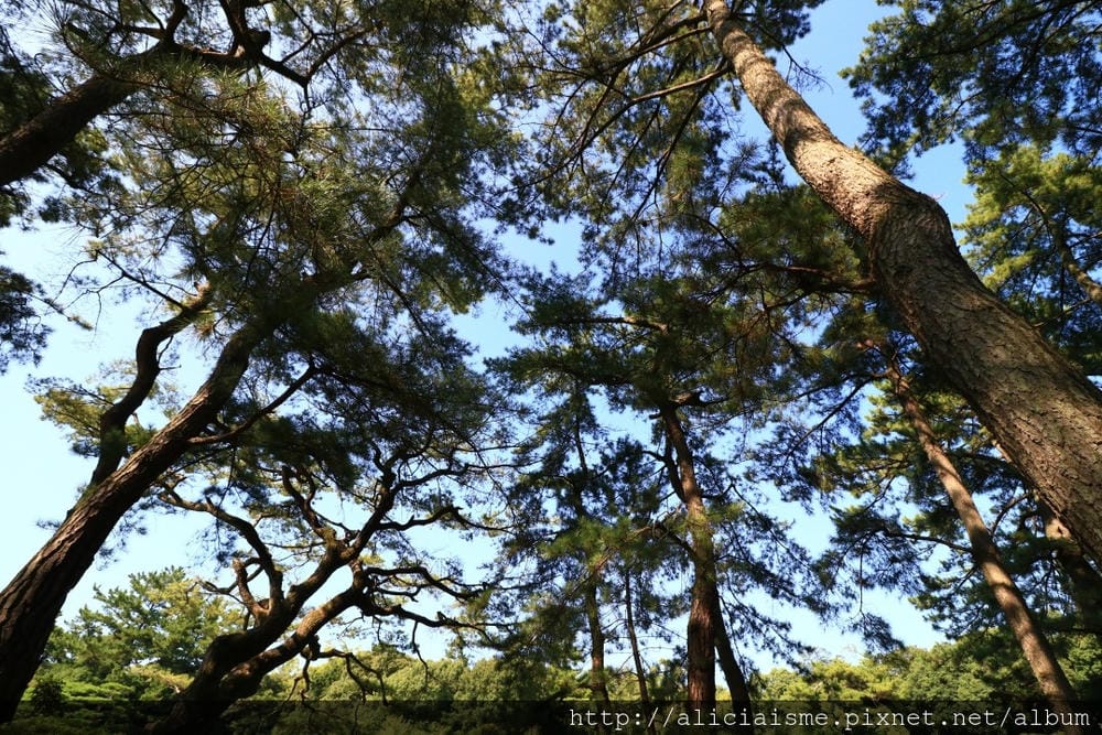 【香川縣】栗林公園：米其林三星景點、四季都值得專程前來的日式庭園