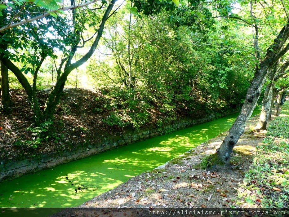 【香川縣】栗林公園：米其林三星景點、四季都值得專程前來的日式庭園