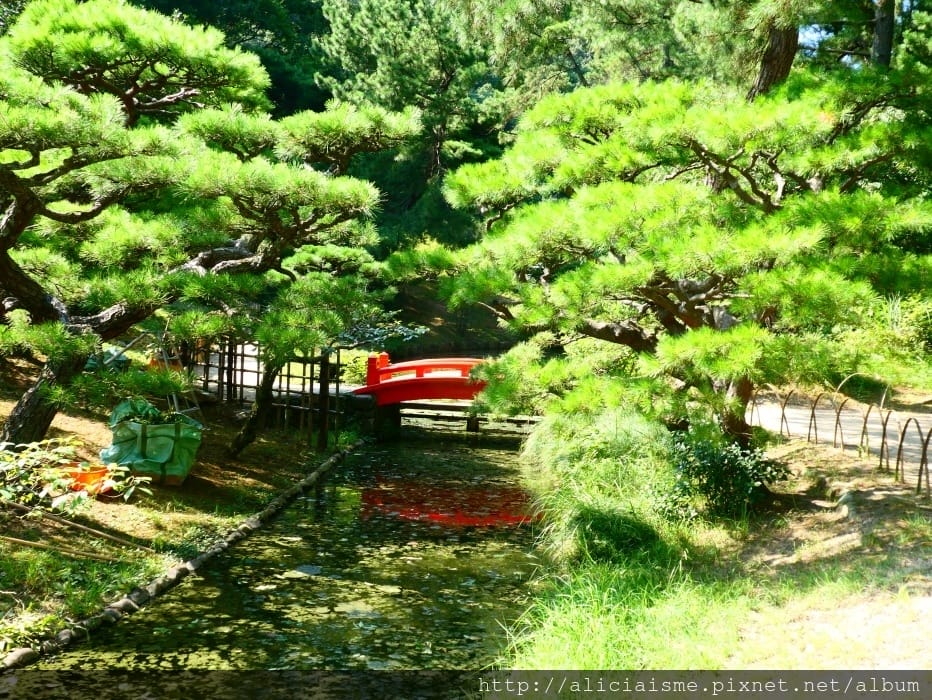 【香川縣】栗林公園：米其林三星景點、四季都值得專程前來的日式庭園