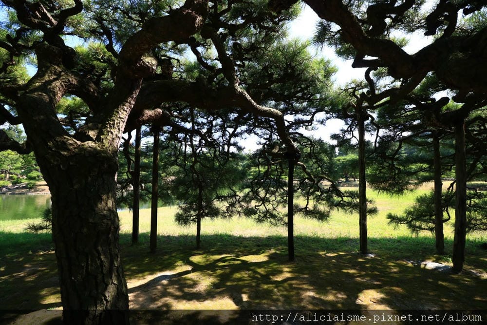 【香川縣】栗林公園：米其林三星景點、四季都值得專程前來的日式庭園