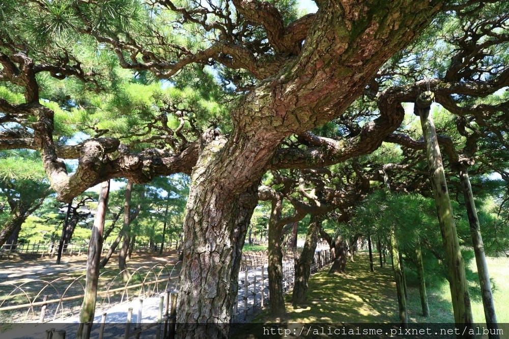 【香川縣】栗林公園：米其林三星景點、四季都值得專程前來的日式庭園
