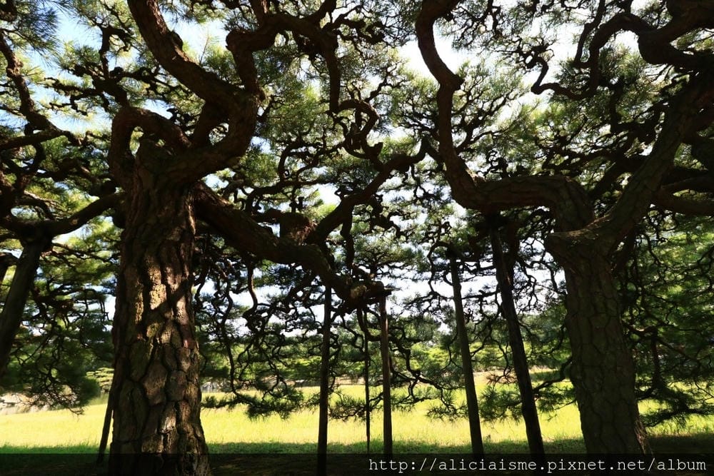【香川縣】栗林公園：米其林三星景點、四季都值得專程前來的日式庭園