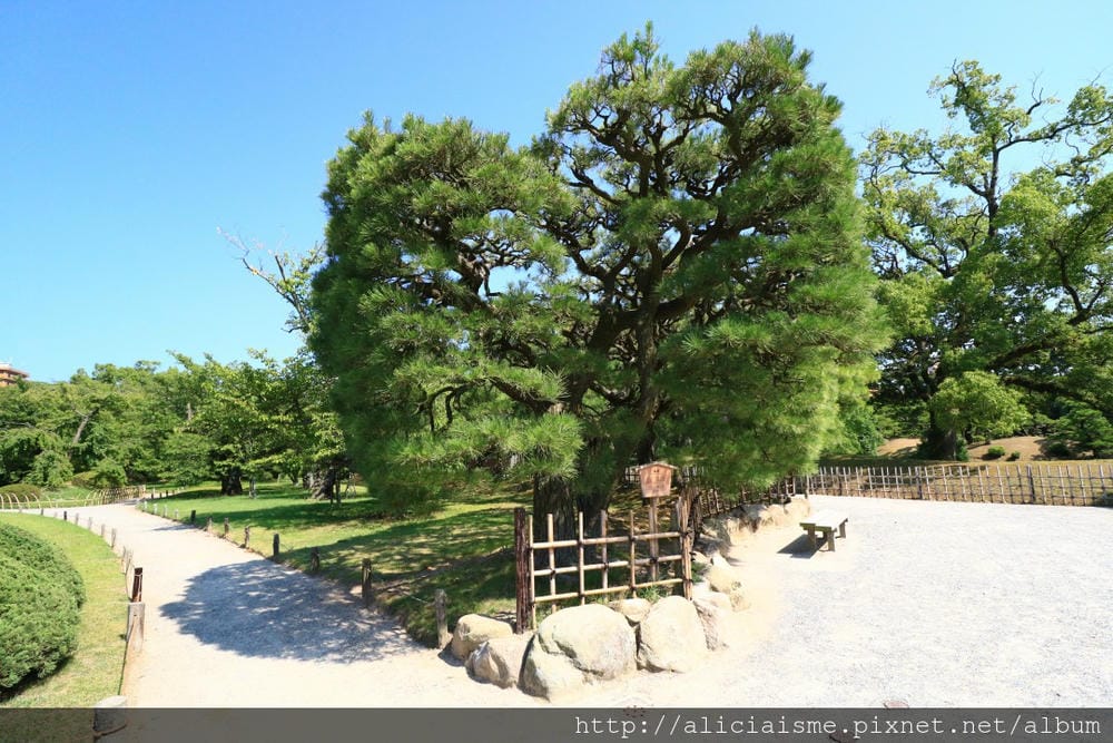 【香川縣】栗林公園：米其林三星景點、四季都值得專程前來的日式庭園