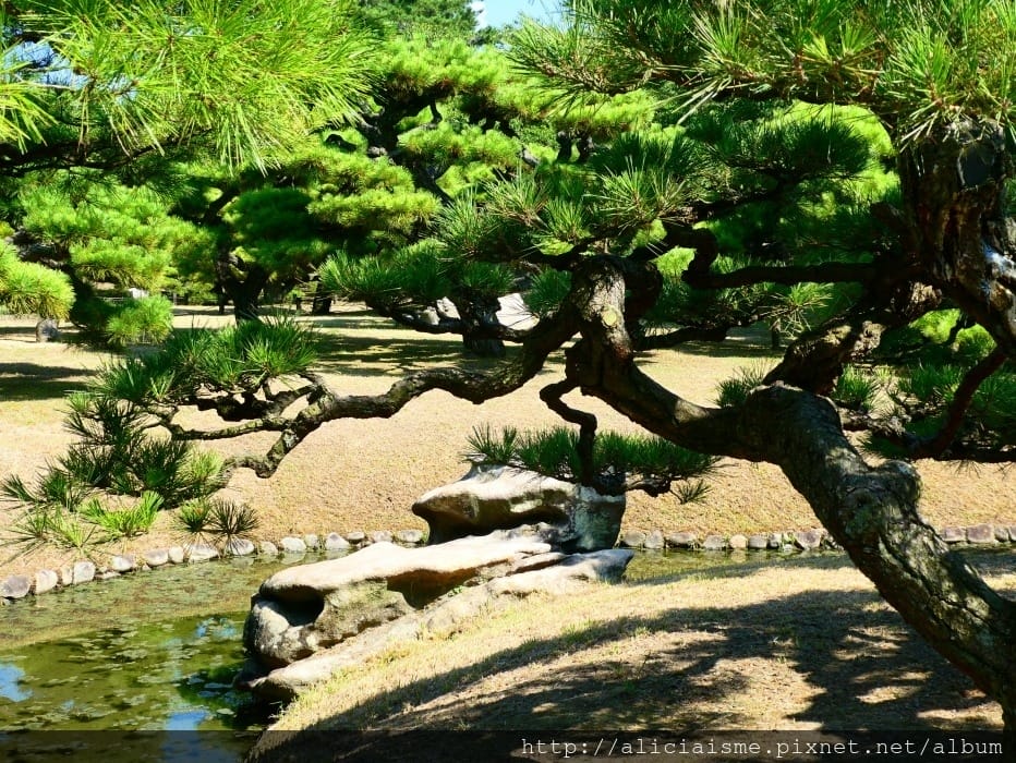 【香川縣】栗林公園：米其林三星景點、四季都值得專程前來的日式庭園
